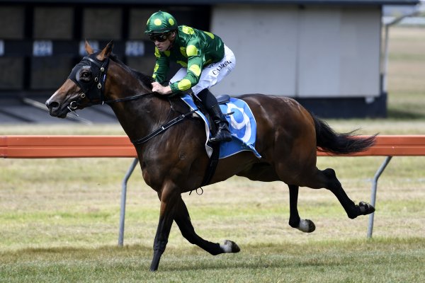 Tavistock Filly on Oaks Path