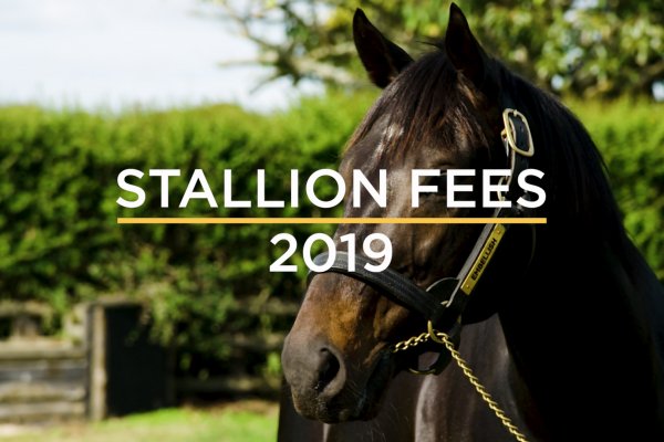 Cambridge Stud 2019 Fees