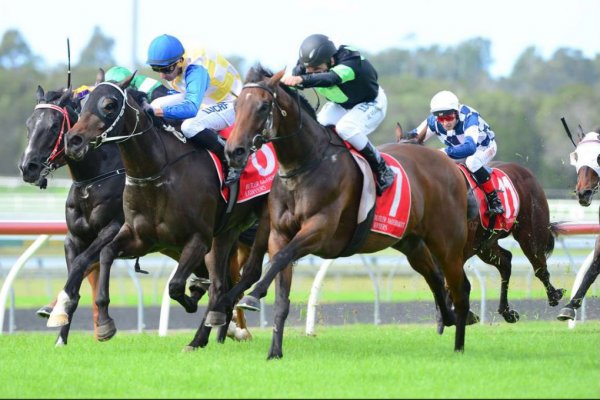 Queensland Derby Bid Receives Another Tick