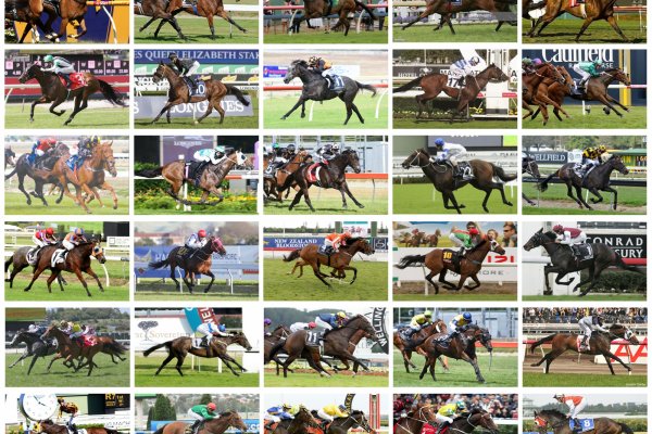 What do these 30 Gr.1 winners have in common?