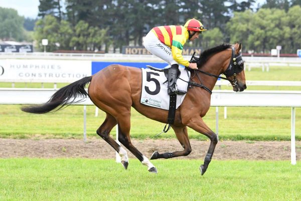 Emery Registers Another Tavistock Winner from Purnima