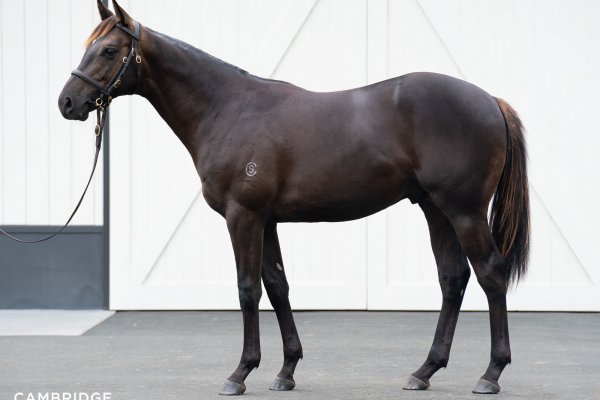 Overdue victory celebration at Eagle Farm