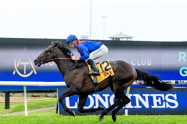 War Eternal dominant at Rosehill