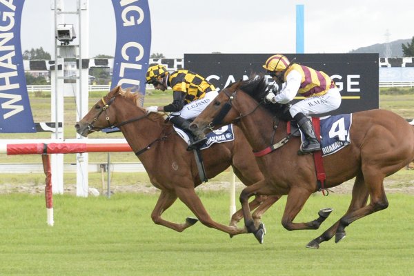 Ziegfeld opens winning account in style